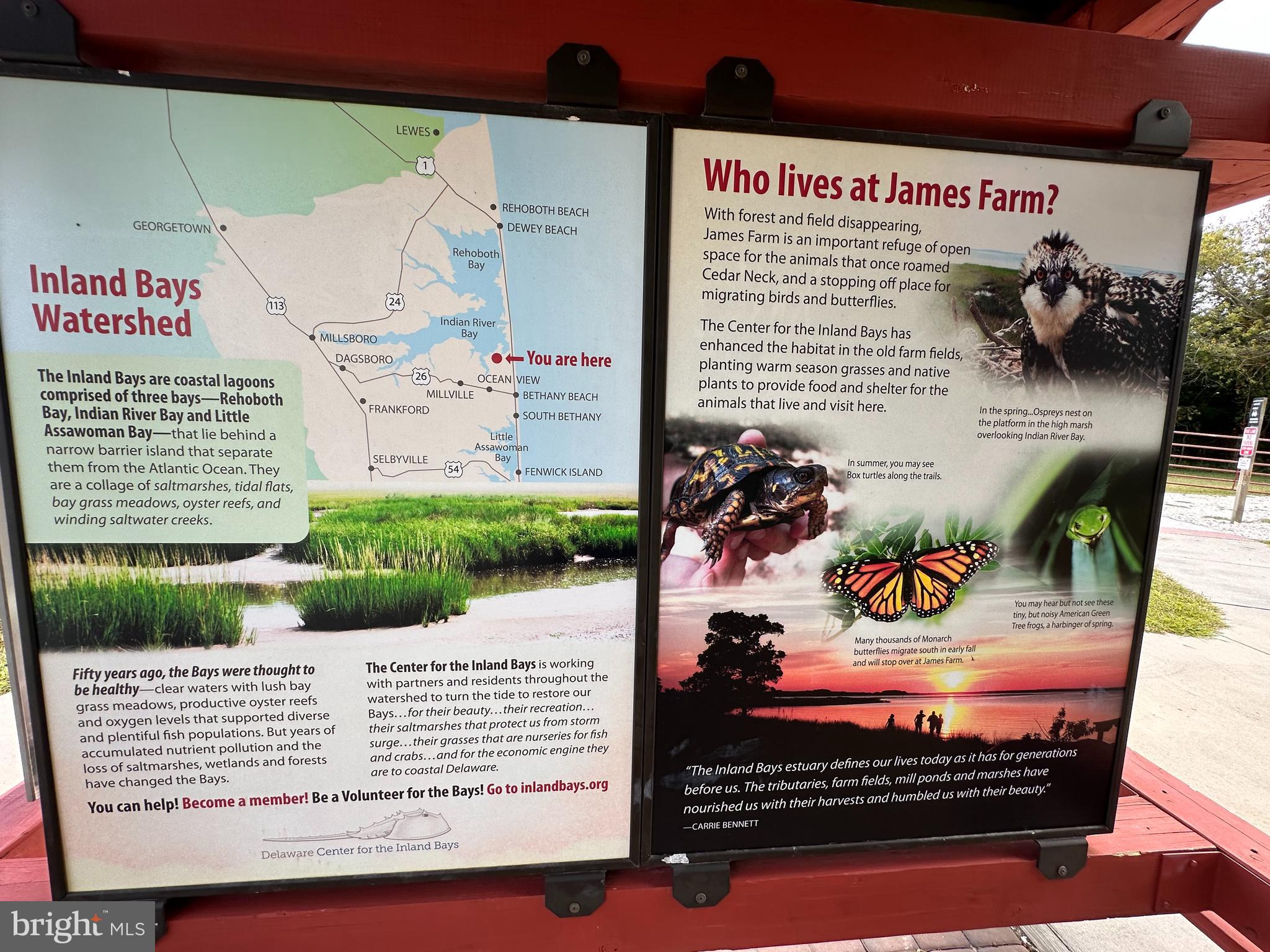 30413 Cedar Neck Road, Unit 309 Ocean View, DE 19970 - Photo 46 of 53 James Farm Trails and Bay Beach