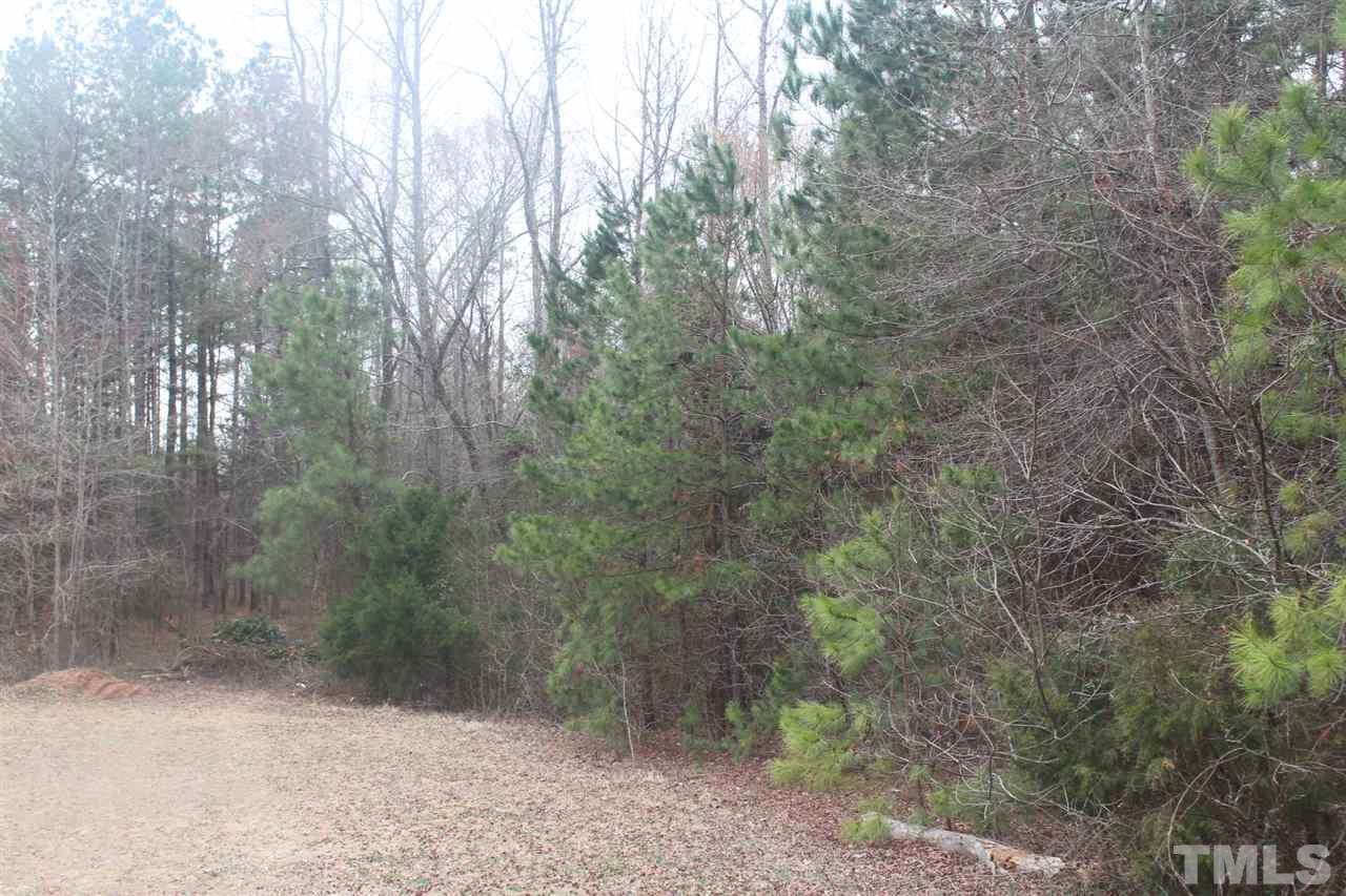 0 Morgan Road Henderson, NC 27537 - Photo 2 of 5 Gallery Image 2