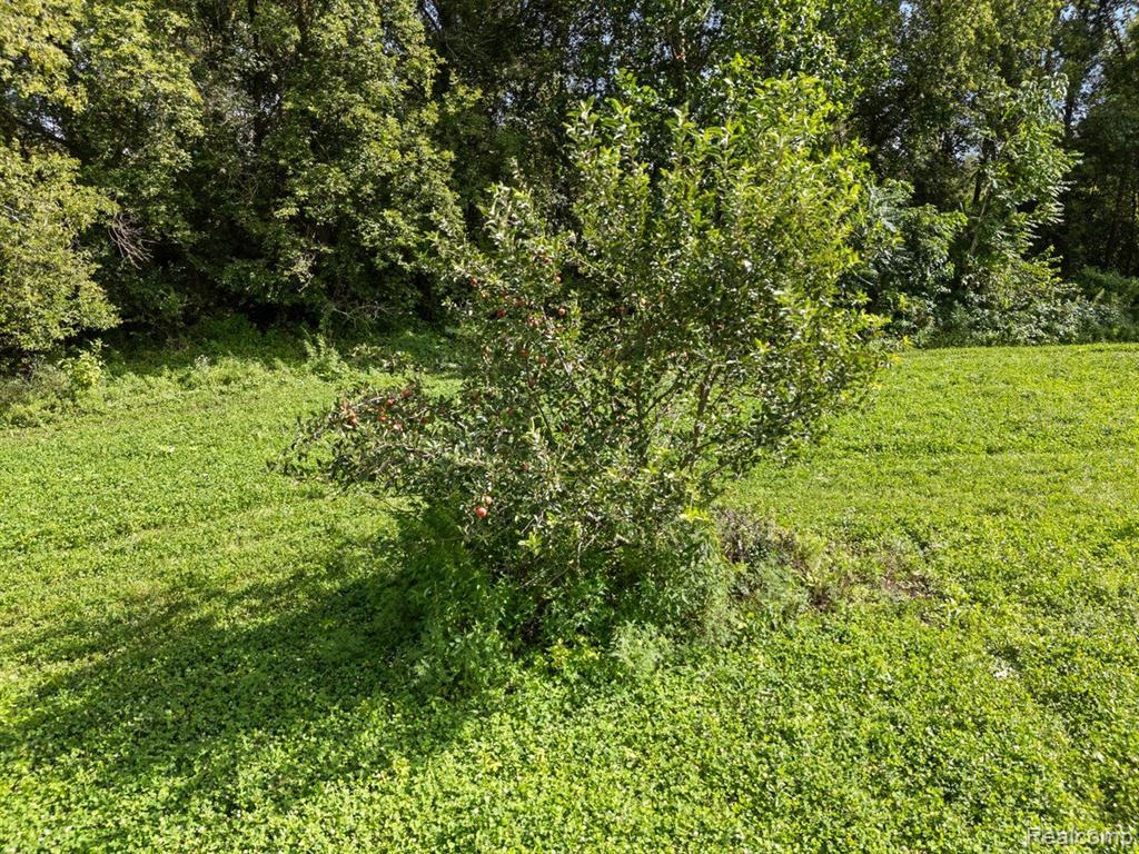 V/l Blake Road Jackson, MI 49201 - Photo 22 of 97 Gallery Image 22