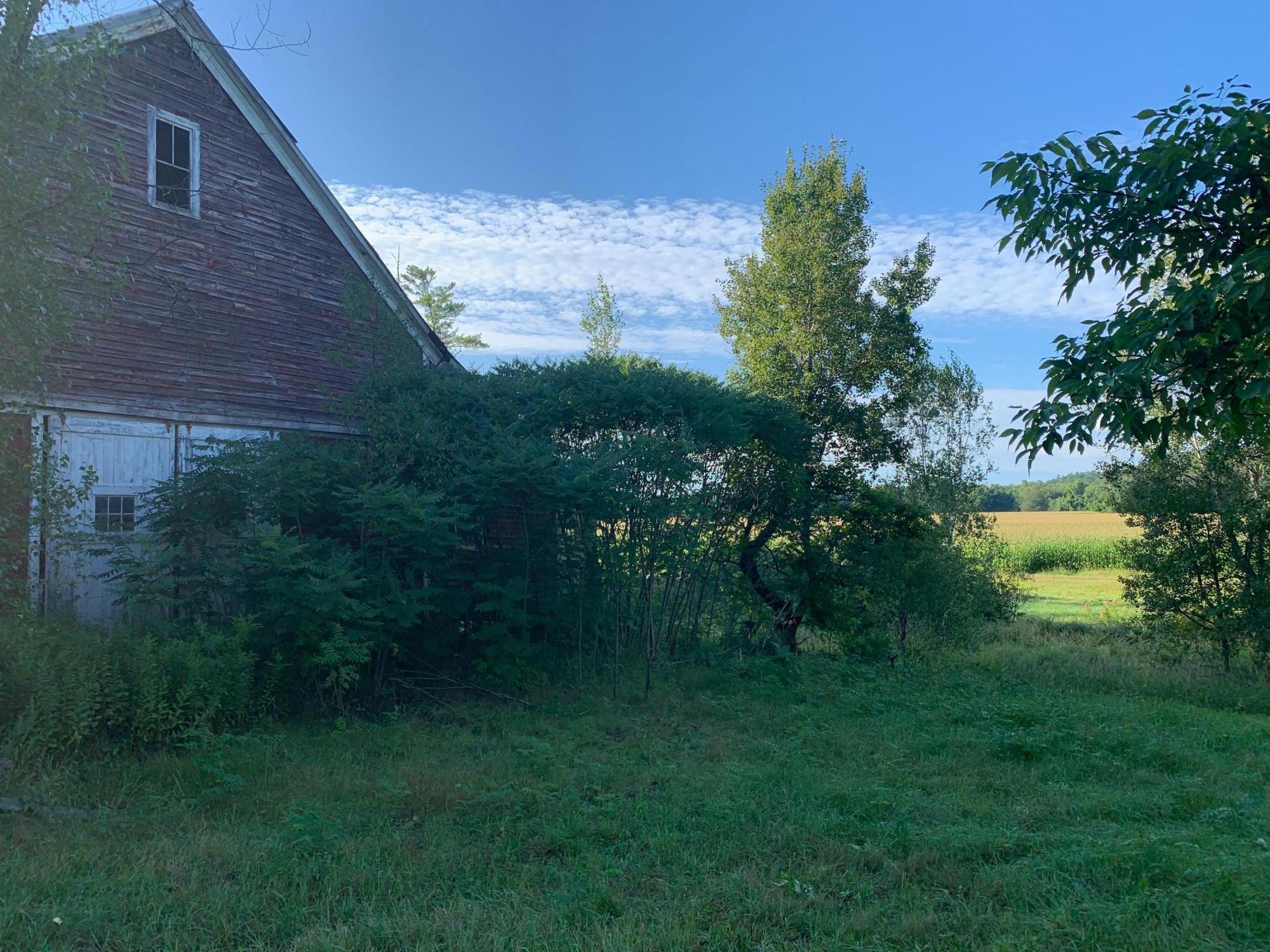 241 N Road Bethel, ME 04217 - Photo 16 of 16 IMG-0327