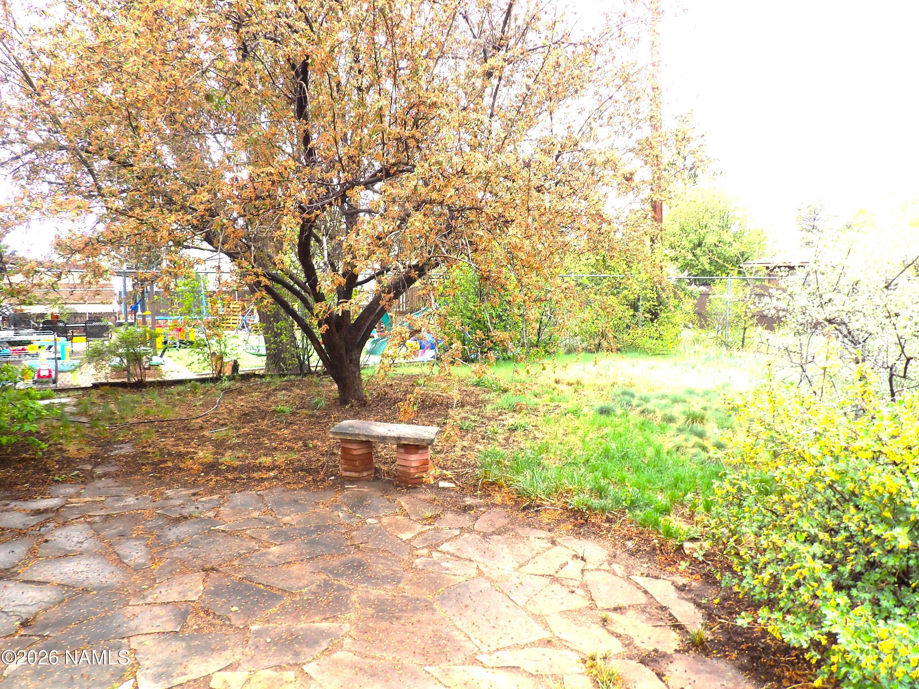 5901 North Mountaineer Road Flagstaff, AZ 86004 - Photo 15 of 17 Back Yard 1