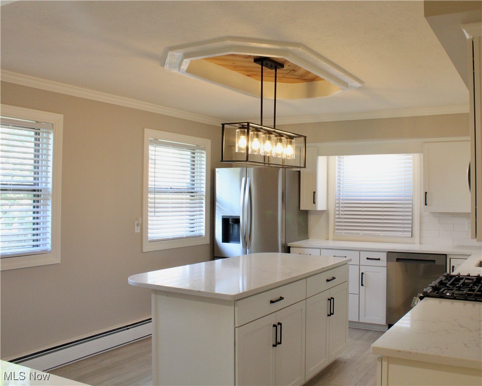 24836 Kennedy Ridge Road North Olmsted, OH 44070 - Photo 8 of 29 Kitchen featuring stainless steel appliances, a tray ceiling, a baseboard heating unit, and light wood-type flooring