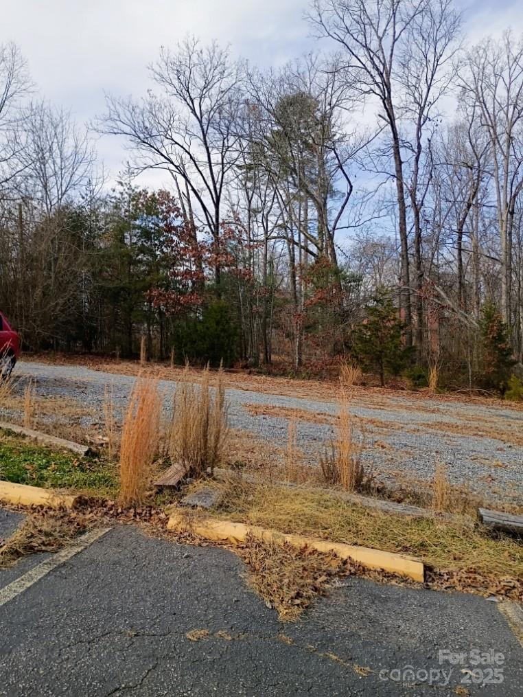 0 Chimney Rock Road, Unit 2 Rutherfordton, NC 28139 - Photo 2 of 5 a view of backyard space