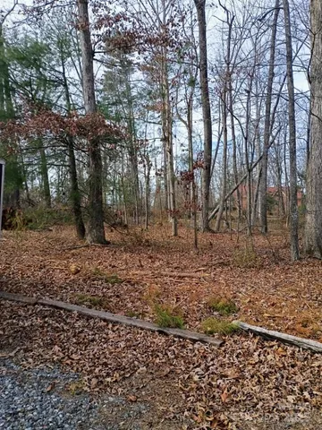 a view of a yard with trees