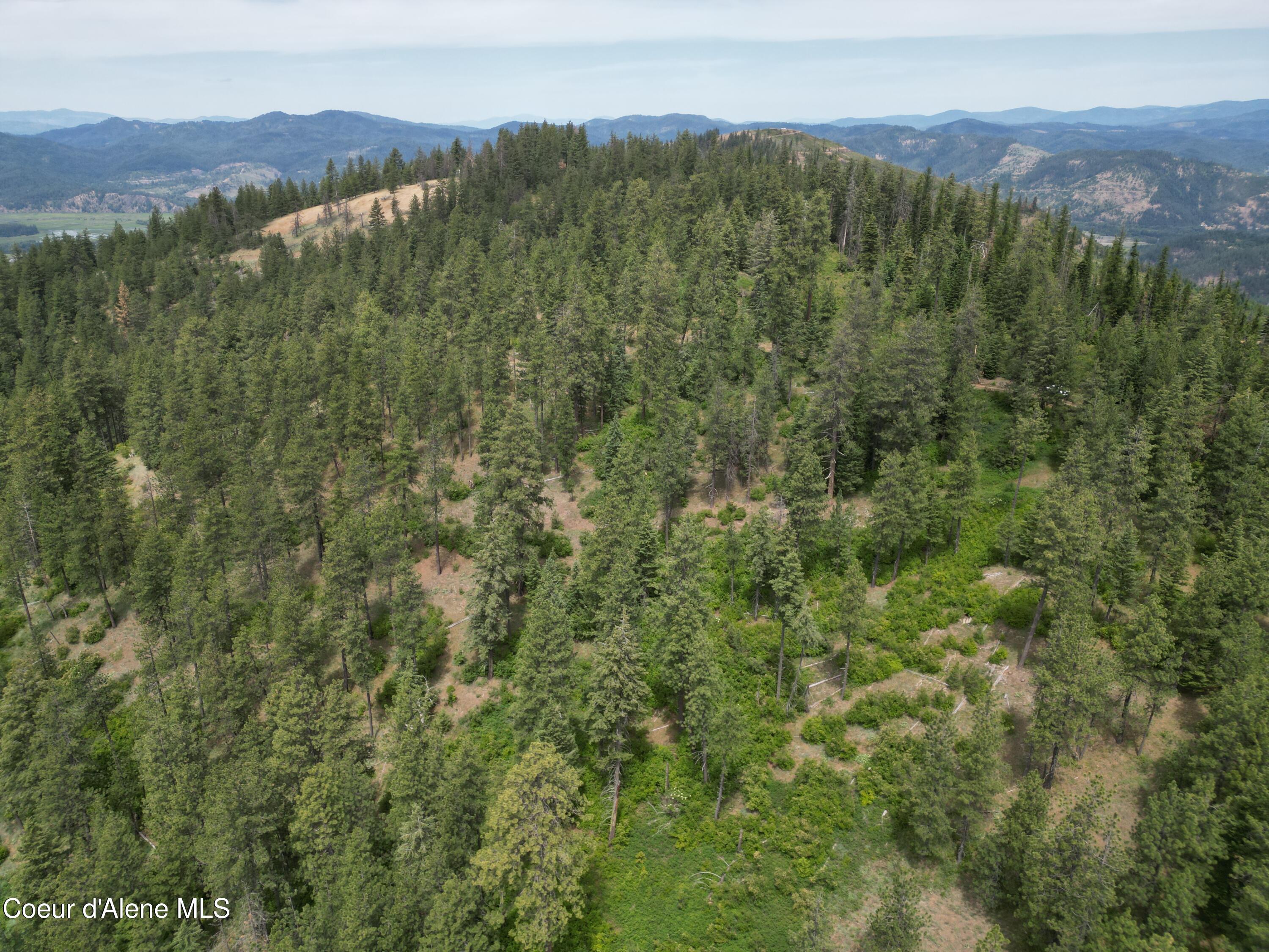 Nka Initial Peak Road Cataldo, ID 83810 - Photo 13 of 18 NKA Initial