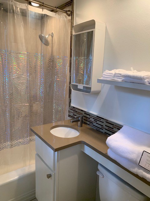 3406 Enfield Road, Unit A Austin, TX 78703 - Photo 12 of 15