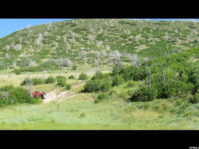 33 Big Hollow Road, Unit 33 Fairview, UT 84629 - Photo 1 of 1 Gallery Image 1