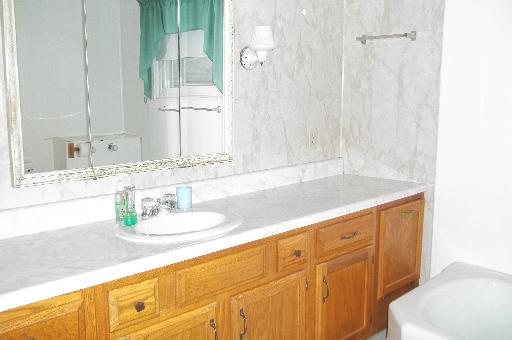 345 Porter Avenue Grand Ridge, IL 61325 - Photo 12 of 14 a bathroom with a granite countertop sink and a mirror