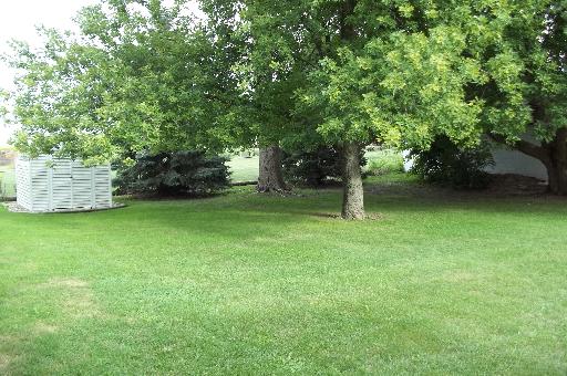 345 Porter Avenue Grand Ridge, IL 61325 - Photo 14 of 14 a view of a backyard with a trees