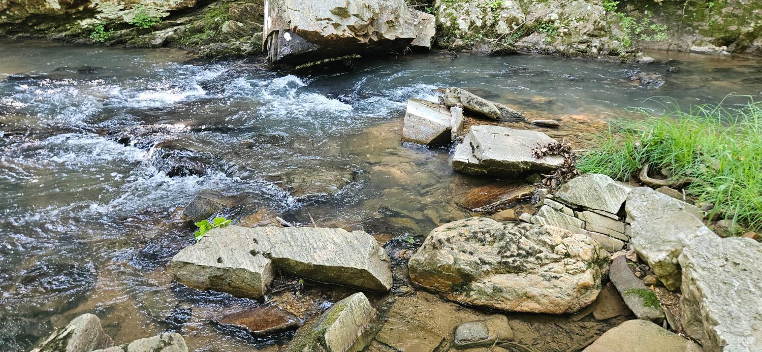 a view of a backyard with furniture