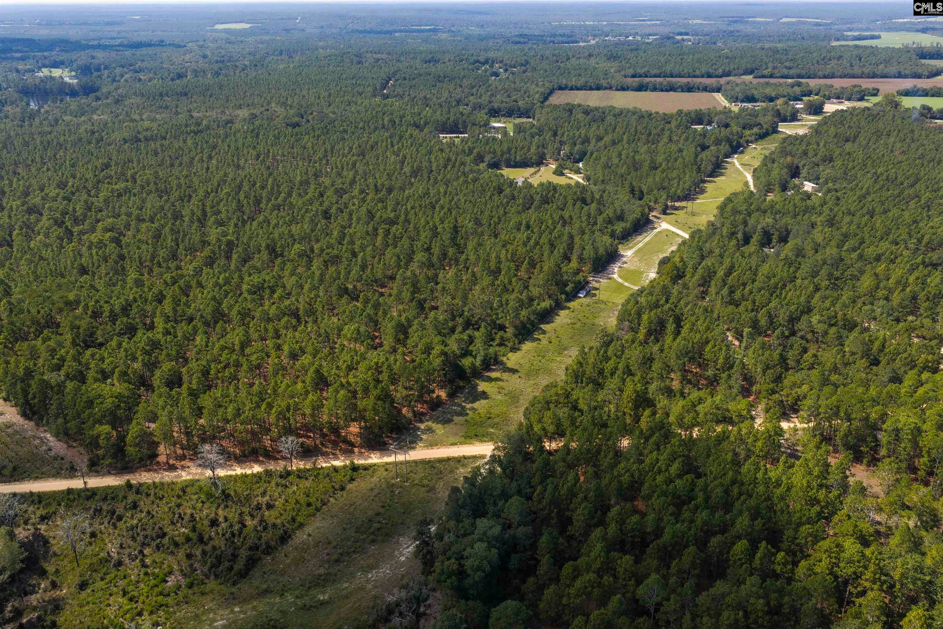 Tbd Gantt Mill Road, Unit PARCEL 3 Leesville, SC 29070 - Photo 8 of 16 Gallery Image 8