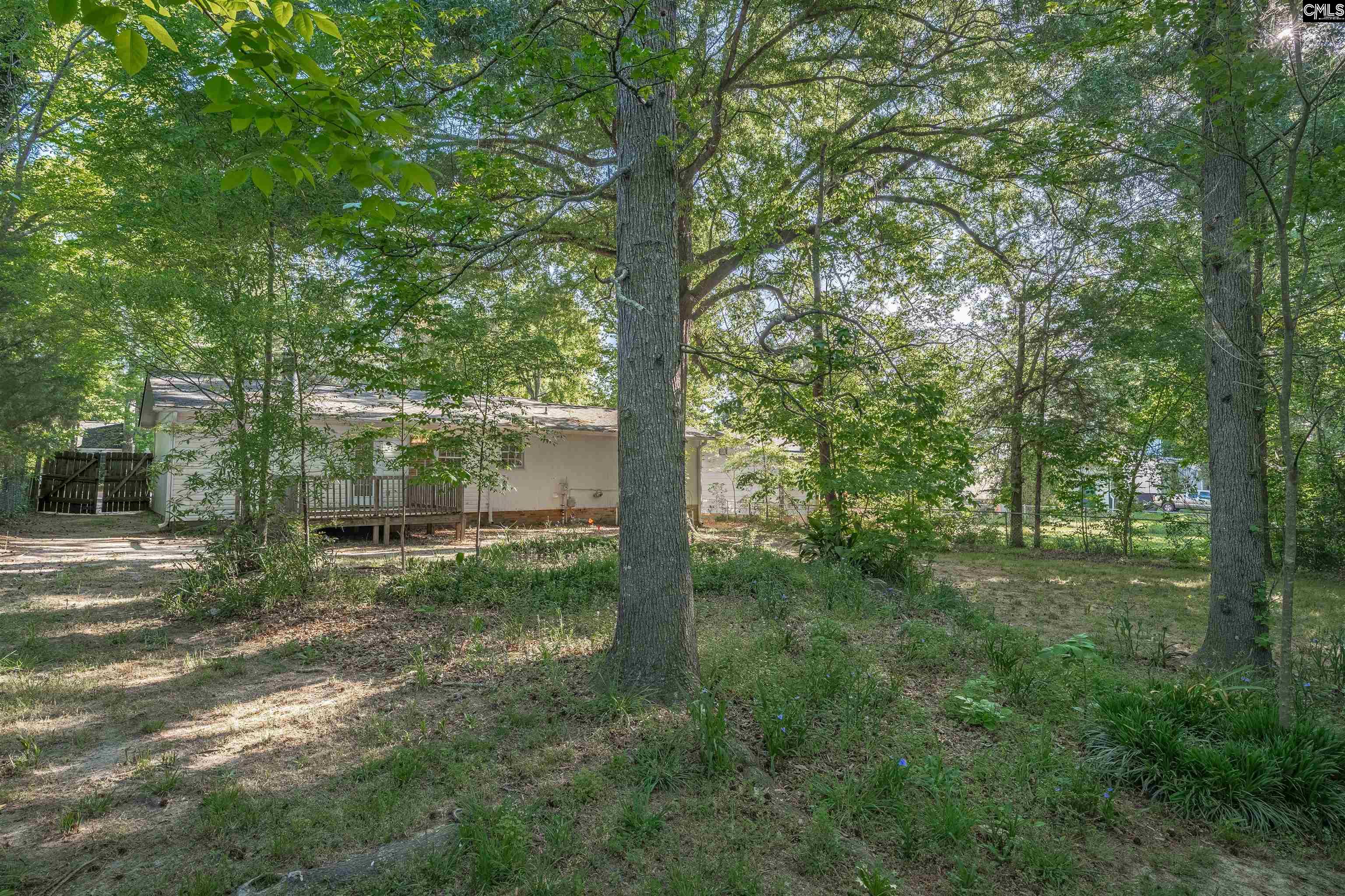 1336 Chadford Road Irmo, SC 29063 - Photo 28 of 28