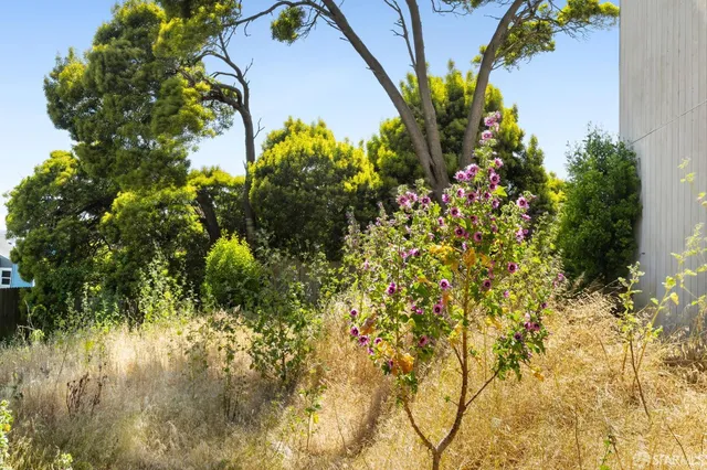 a view of a flower in a garden