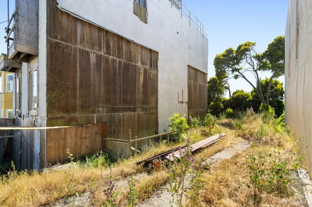 a backyard of a house with a large tree and plants