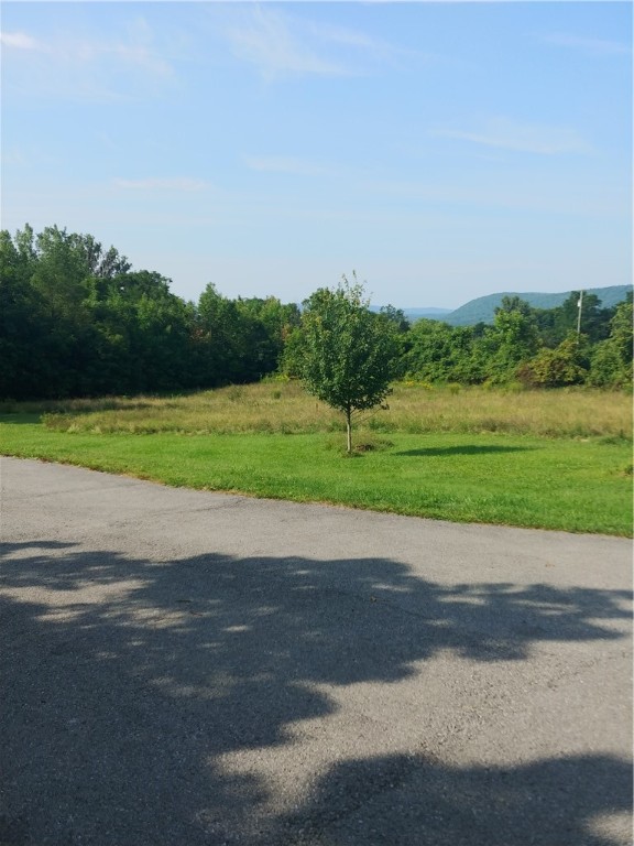 8049 West Hollow Road Naples, NY 14512 - Photo 30 of 30 maple to be removed early fall