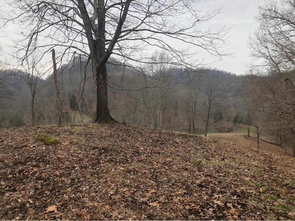Tbd Grandview Road Abingdon, VA 24210 - Photo 1 of 2 Photo 1
