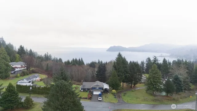 a view of a city from a yard