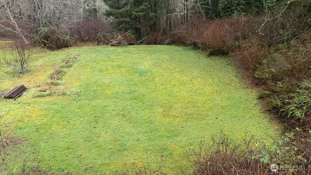 a view of a yard with a tree