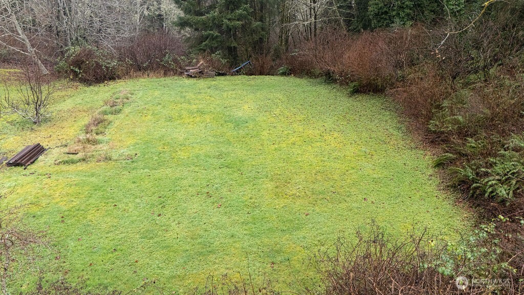 194 Sekiu Airport Road Sekiu, WA 98381 - Photo 35 of 40 a view of a yard with a tree