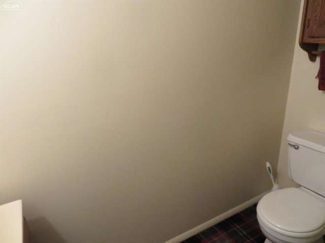 13064 North Webster Road Clio, MI 48420 - Photo 69 of 76 21230473-70.JPG