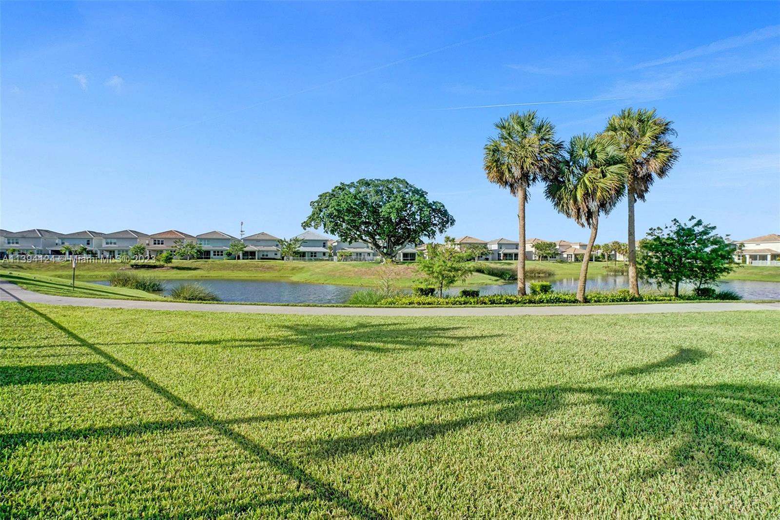1033 Eucalyptus Drive Hollywood, FL 33021 - Photo 57 of 66 a view of a big yard with plants and a palm tree