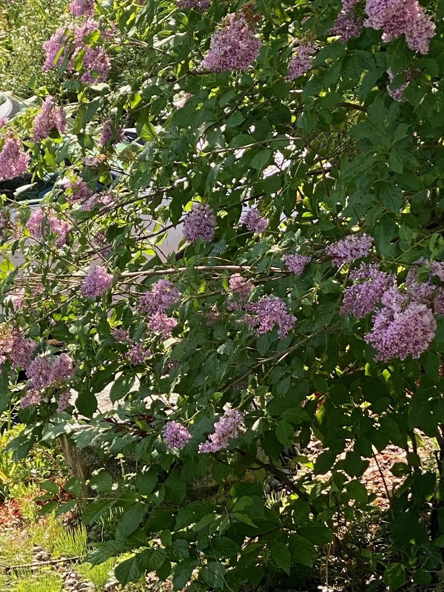 902 Highway 16 Hardwick, VT 05836 - Photo 6 of 59