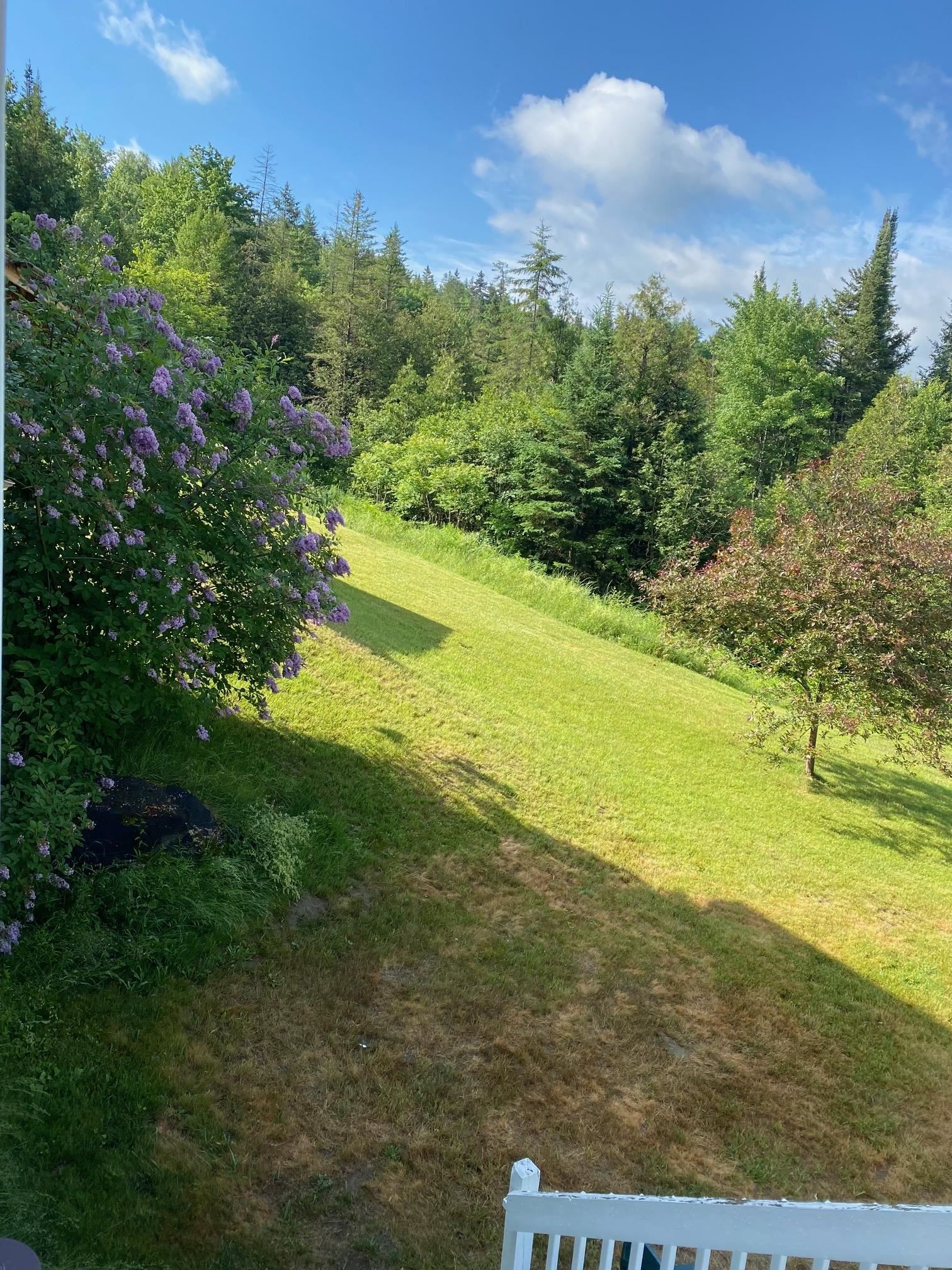 902 Highway 16 Hardwick, VT 05836 - Photo 8 of 59
