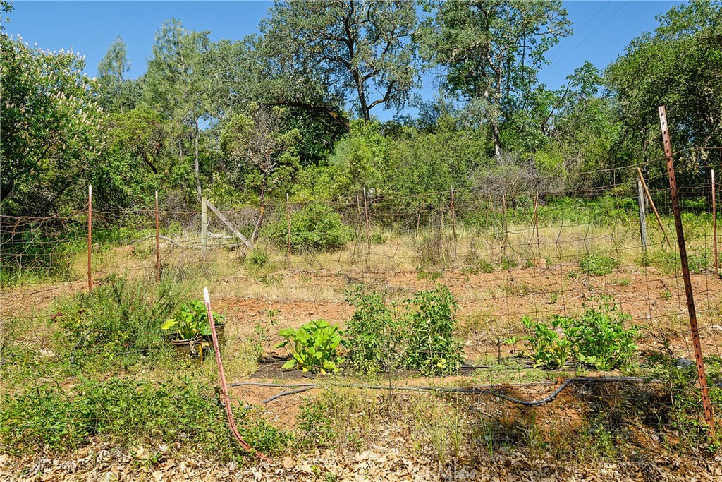 13449 Anderson Road Lower Lake, CA 95457 - Photo 50 of 61 Gallery Image 50