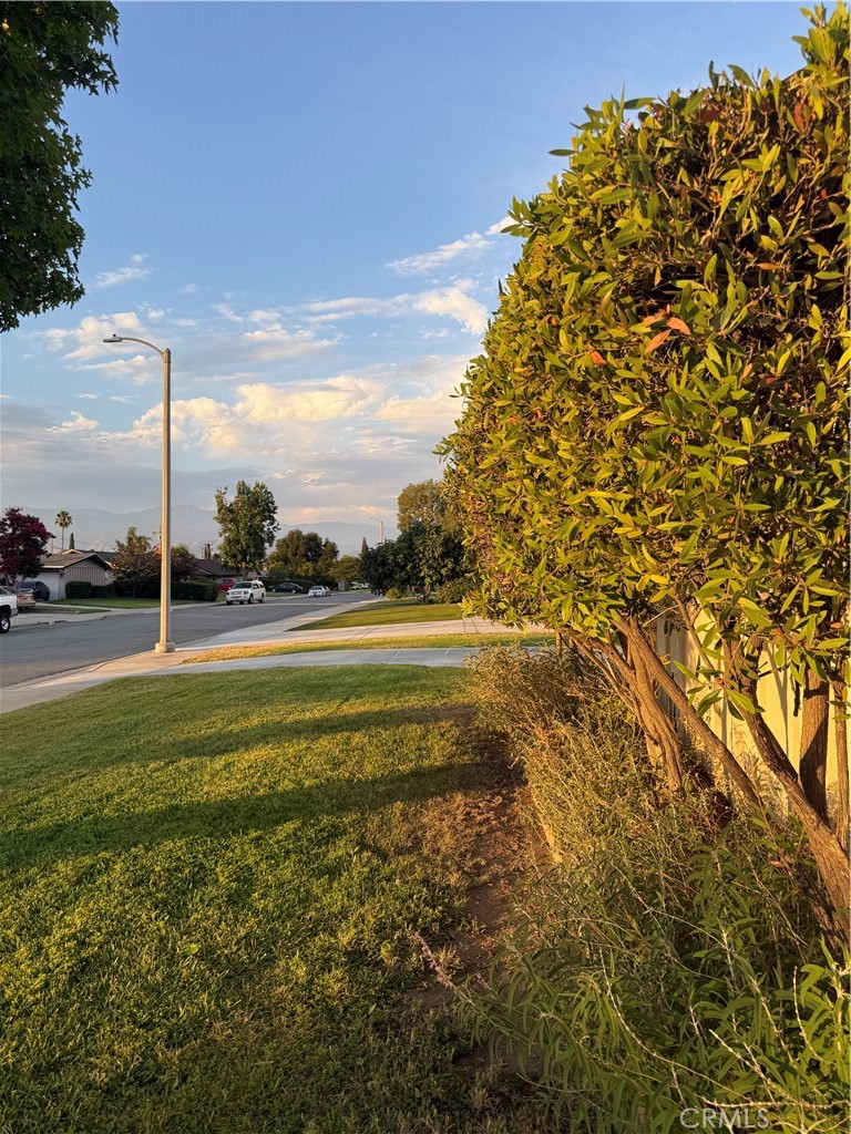 1027 Fletcher Avenue Redlands, CA 92373 - Photo 35 of 45