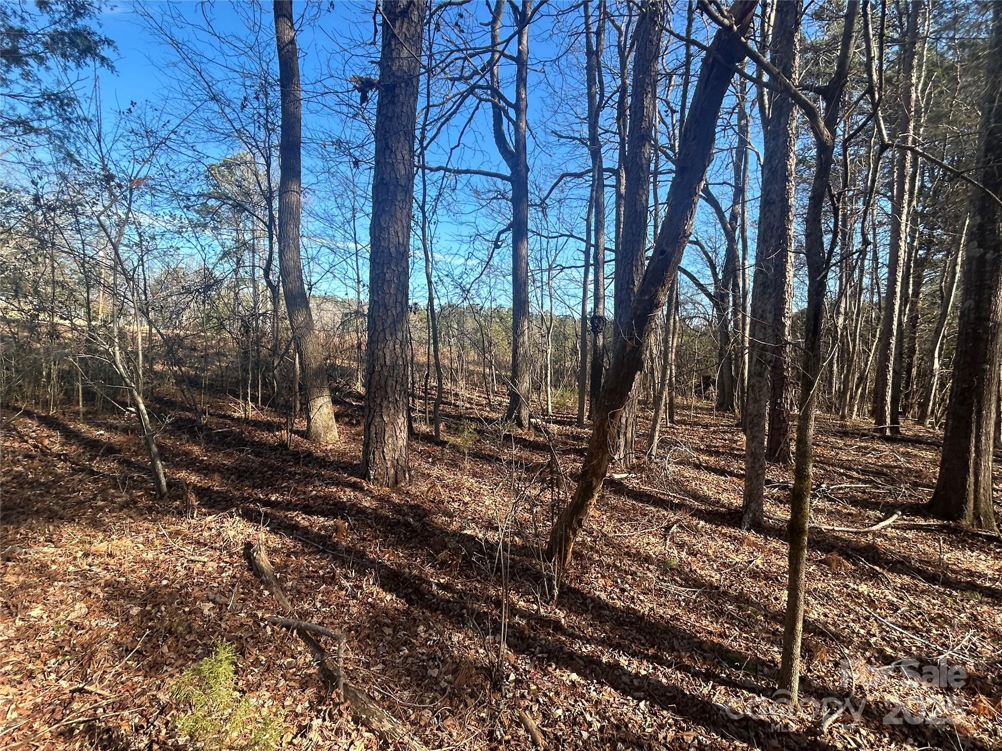 6-ac Sandifer Road York, SC 29745 - Photo 12 of 20
