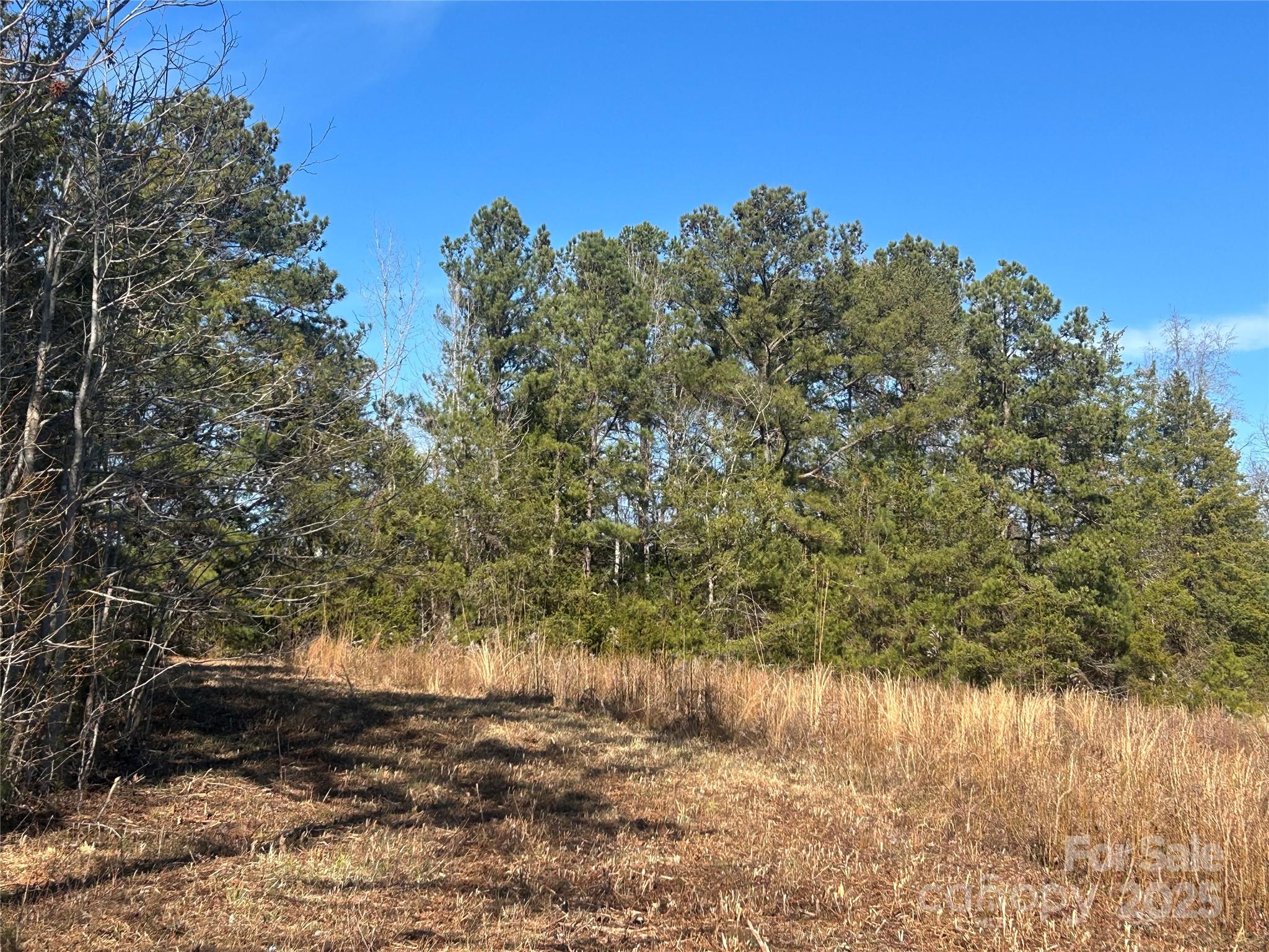 6-ac Sandifer Road York, SC 29745 - Photo 3 of 20