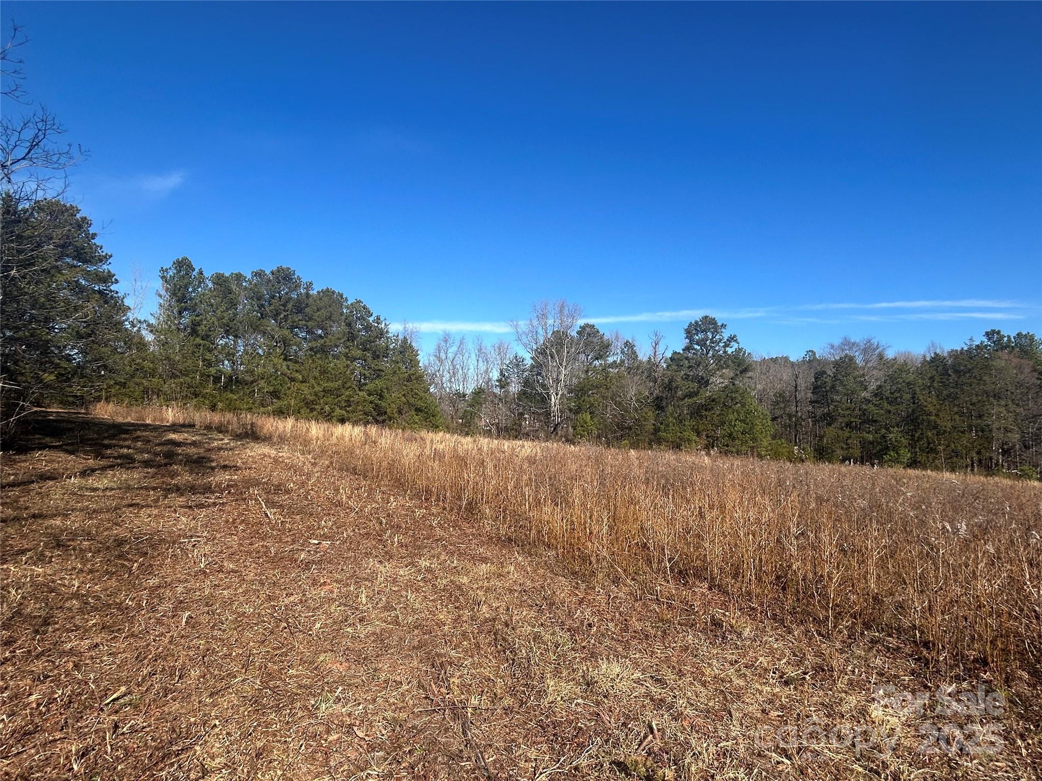 6-ac Sandifer Road York, SC 29745 - Photo 4 of 20