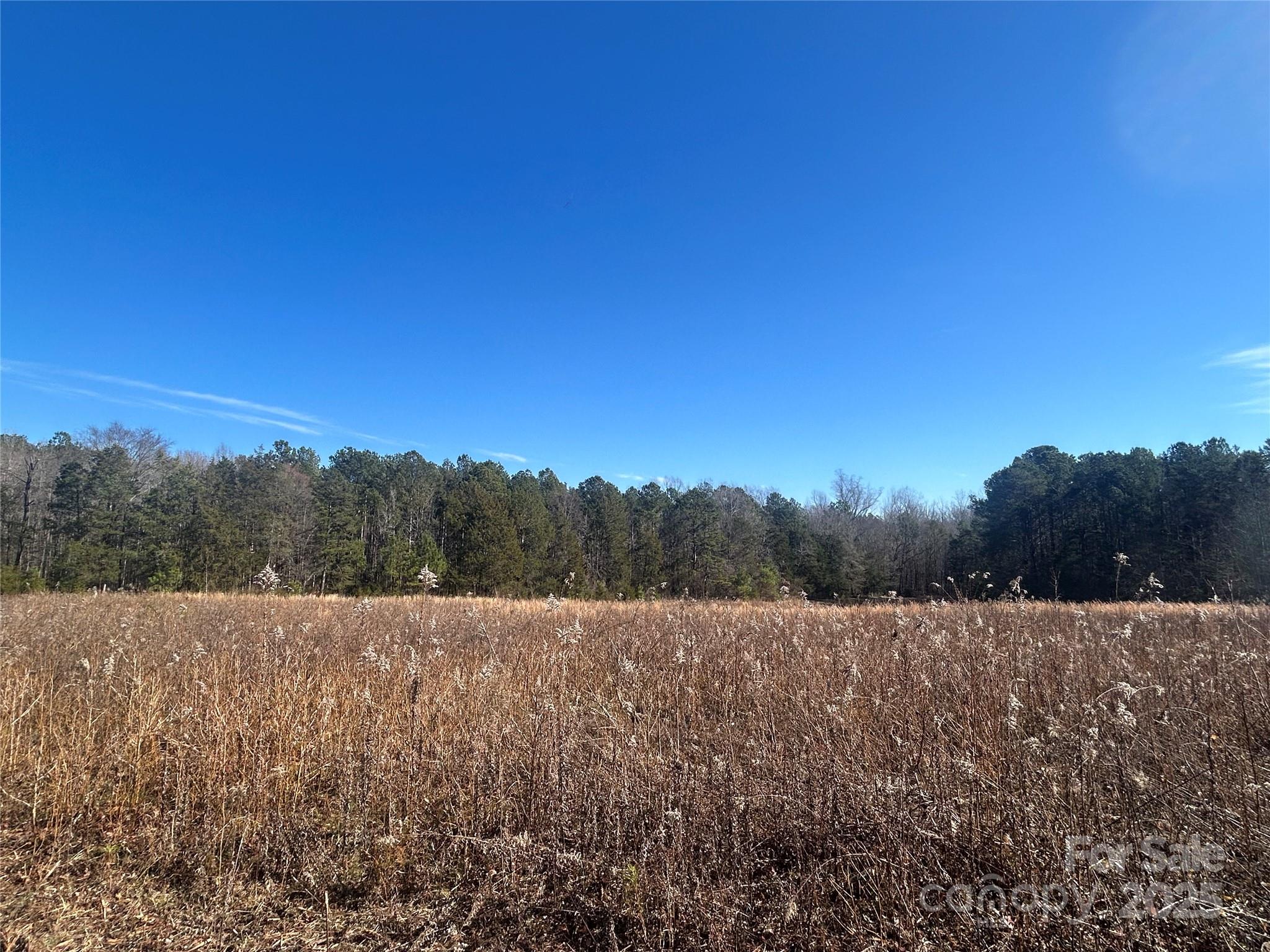 6-ac Sandifer Road York, SC 29745 - Photo 6 of 20