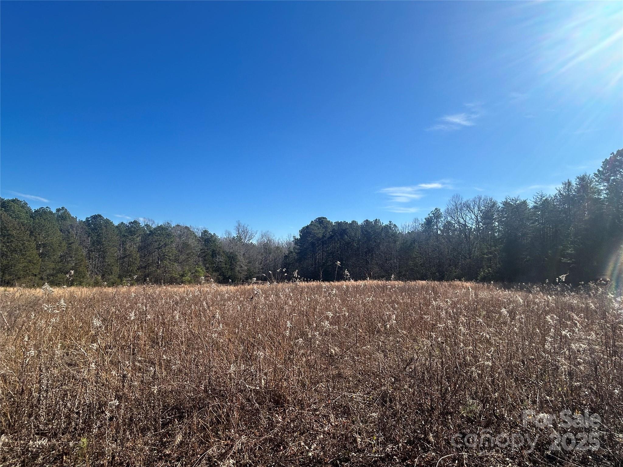 6-ac Sandifer Road York, SC 29745 - Photo 7 of 20