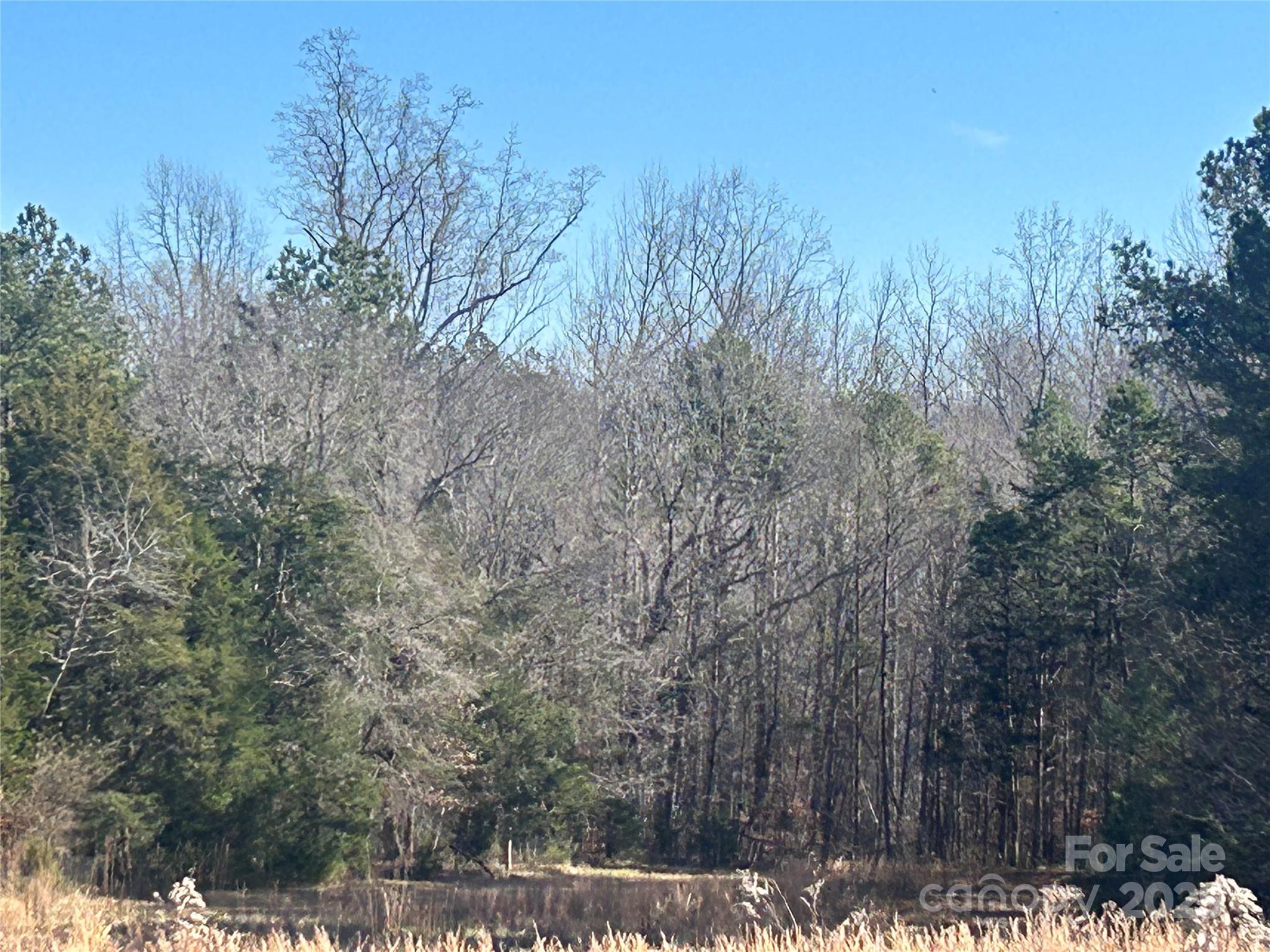 6-ac Sandifer Road York, SC 29745 - Photo 8 of 20