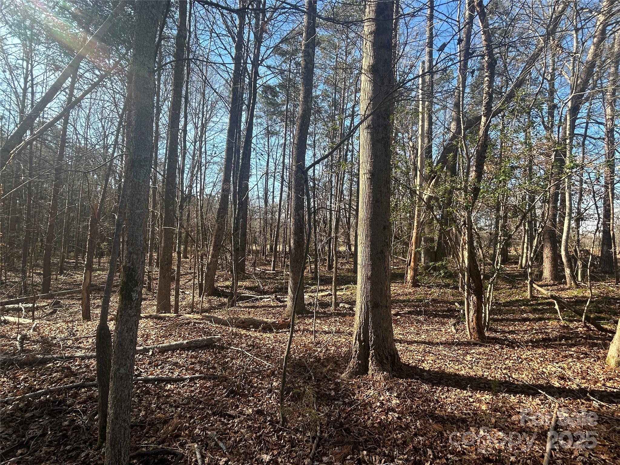 6-ac Sandifer Road York, SC 29745 - Photo 10 of 20