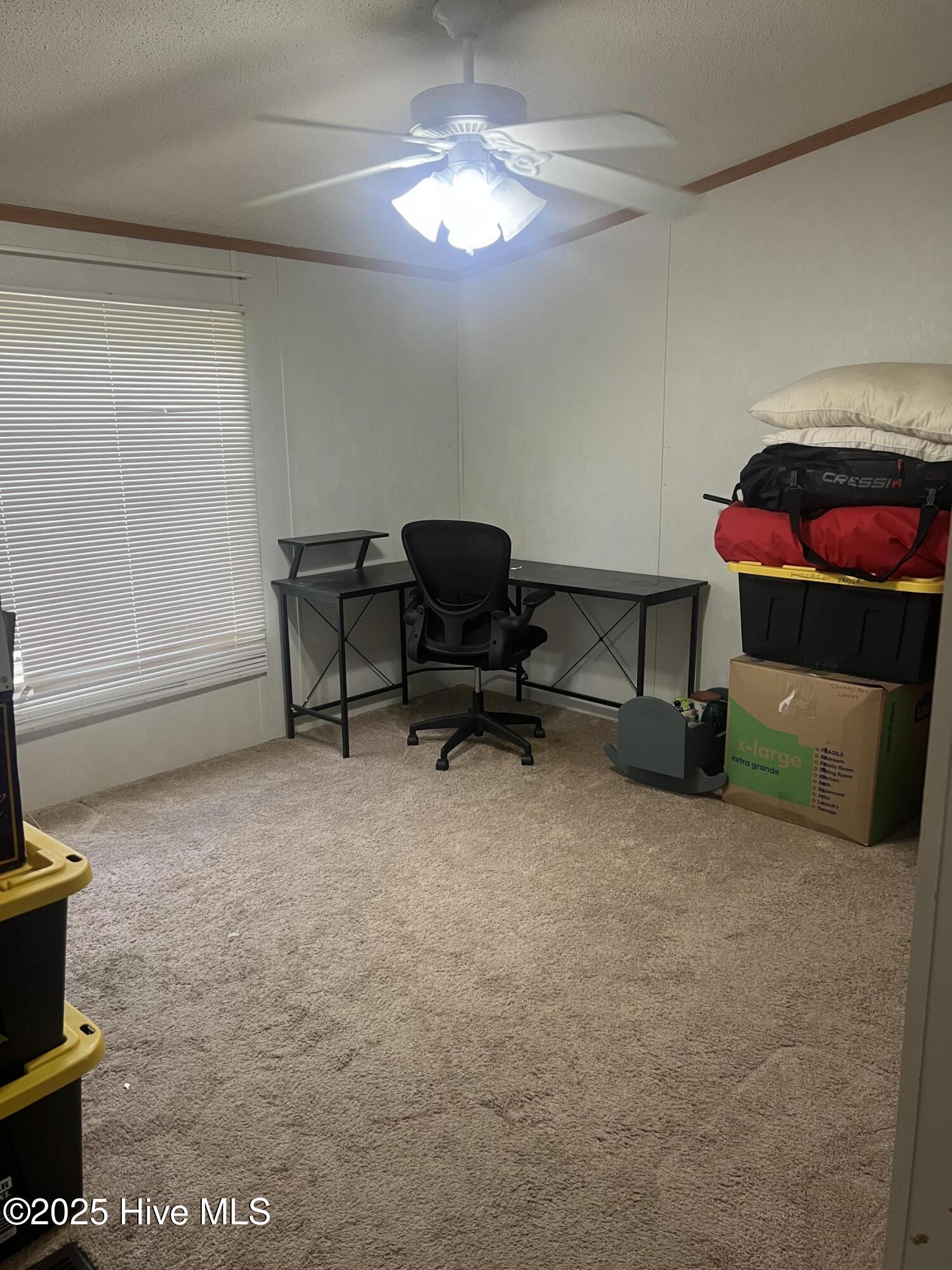 199 Highway 124 Macclesfield, NC 27852 - Photo 11 of 23 IMG_0604