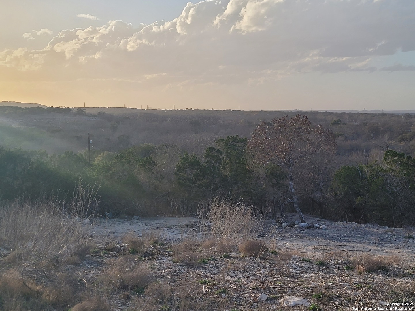 308 Elm Pass Road East Center Point, TX 78010 - Photo 11 of 11