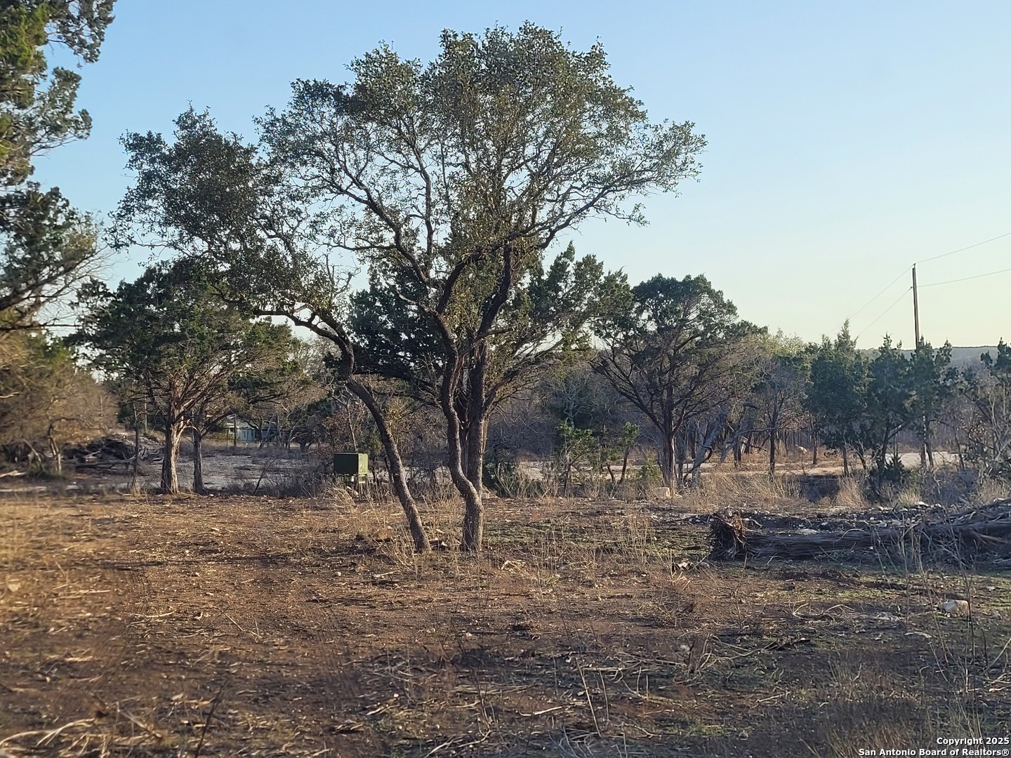 308 Elm Pass Road East Center Point, TX 78010 - Photo 6 of 11