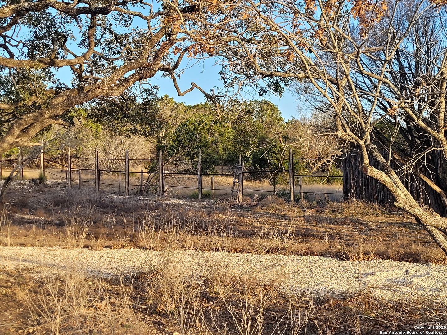 308 Elm Pass Road East Center Point, TX 78010 - Photo 8 of 11