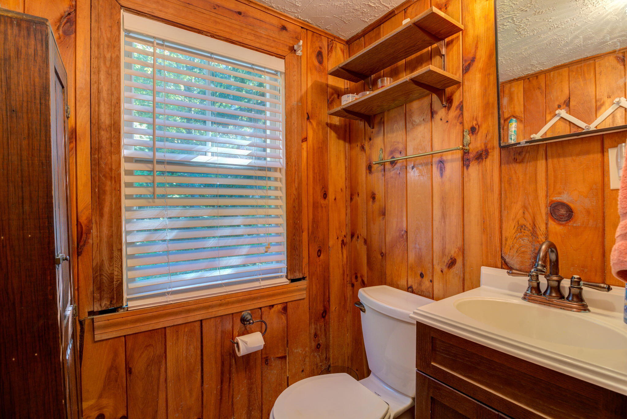 165 Shore Road Lyman, ME 04002 - Photo 36 of 65 8-web-or-mls-Pic#-8