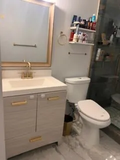a bathroom with a shower and a toilet