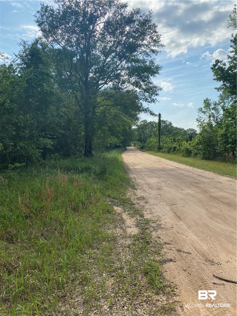 0 Aubrey Lane Chunchula, AL 36521 - Photo 4 of 7