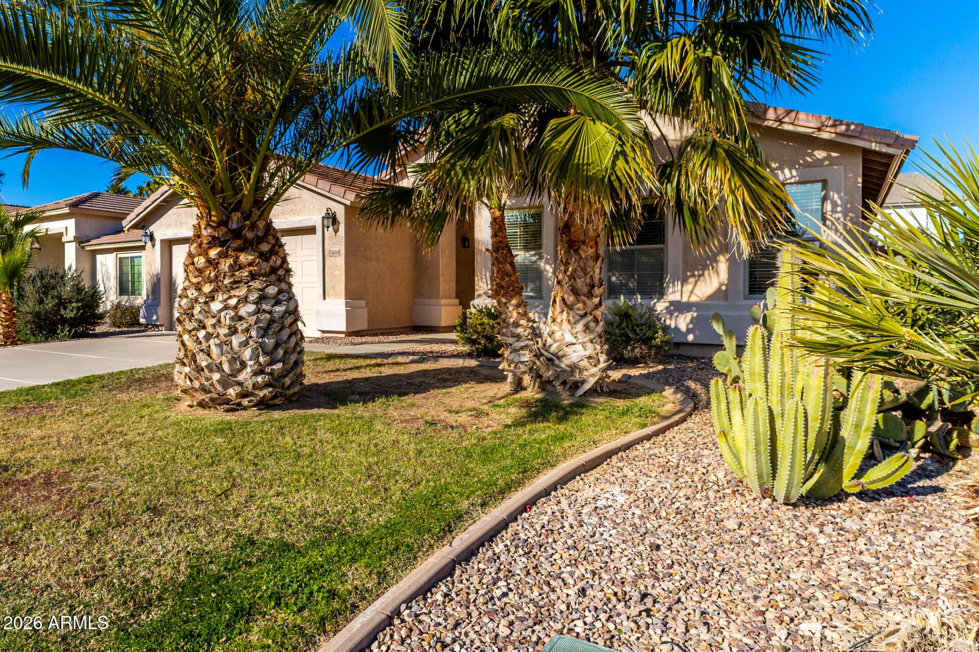 45144 West Desert Garden Road Maricopa, AZ 85139 - Photo 52 of 52 a view of a yard with plants