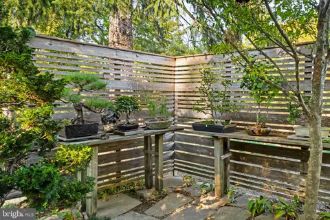 a view of a backyard with chairs and a tree