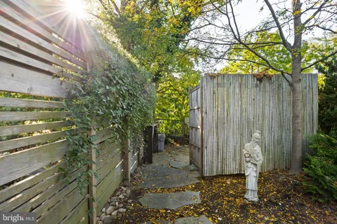 a view of a garden with plants and large trees