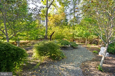 a view of a garden with plants