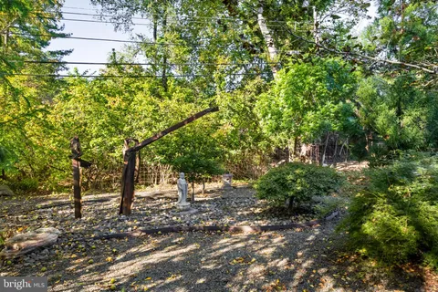 a view of a house with a tree