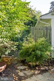 front view of a house with a tree