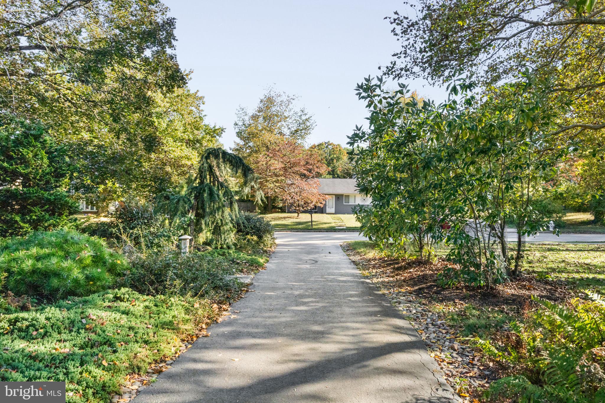 303 Glenway Road Glenside, PA 19038 - Photo 55 of 56 a view of a pathway both side of yard